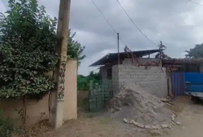 فروش زمین ۳۴۵ متر قائمشهر جاده جویبار روستای موارم کلا