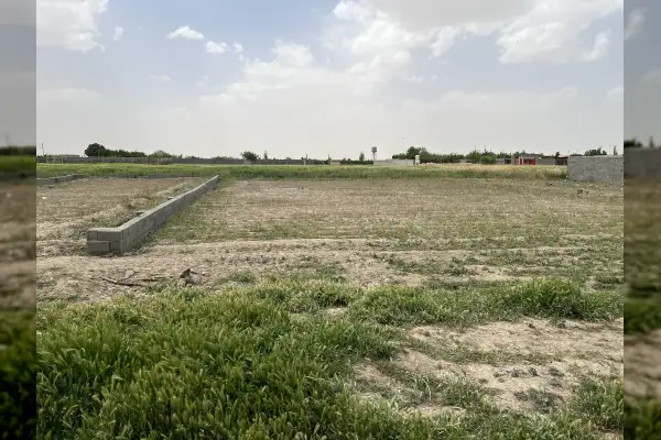 فروش زمین واقع در روستای علی سید ۵۰۰ متر - تصویر 3
