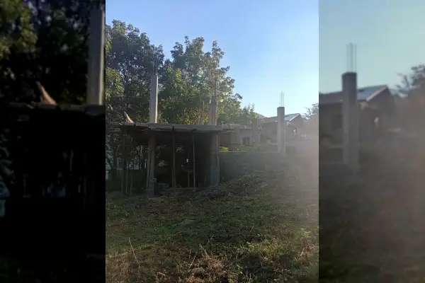 فروش زمین با اسکلت خانه رامسر دالیخانی روستای سده ۳۵۰ متر - تصویر 2