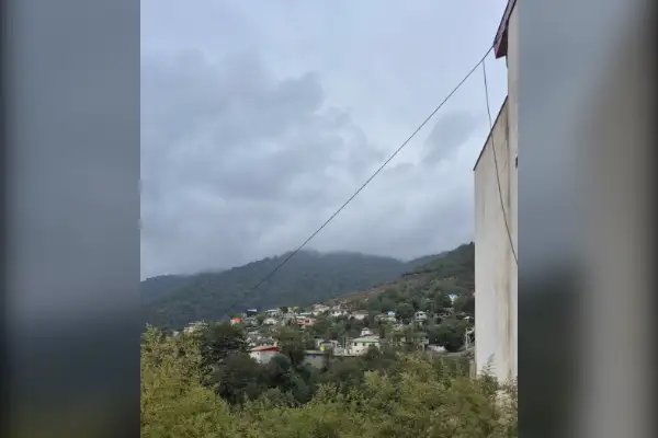 فروش زمین داخل بافت در تیار چلاو ۲۹۰ متر - تصویر 3