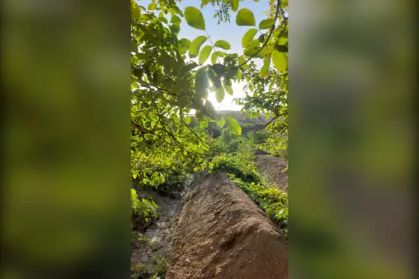 فروش باغ انگور و گردو در روستای خرمازرد ۱۲۰۰ متر - تصویر 3