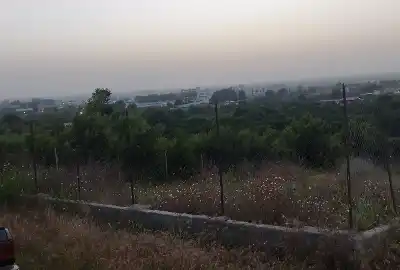 فروش زمین ۱۴۴ متری رسول آباد بادله جاده ساری به نکا
