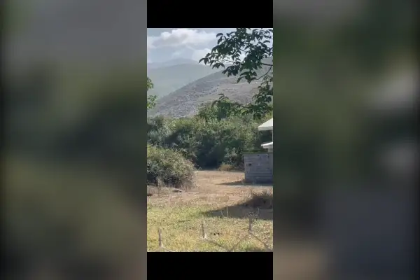 زمین فروشی در صالحان بخش کجور ۲۰۰ متر - تصویر 3