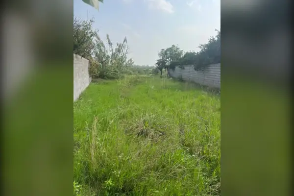 فروش زمین در بابلسر ۲۶۰ متر روستای بالانقیب - تصویر 2