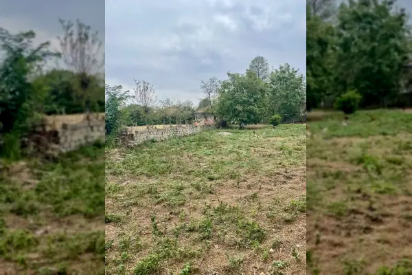 فروش زمین ۱۰۰۰ متر ماسال توافقی - تصویر 4
