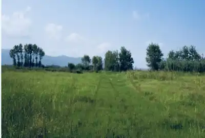 فروش زمین از ۱۵۰۰ متر نزدیک روستای سید میران