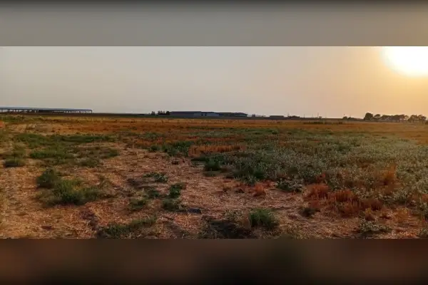 فروش زمین ۲۱۵۰۰متری سند تک برگ نزدیک فرودگاه امام - تصویر 2