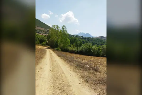 فروش زمین مناسب برای دام داری و مرغداری ۲۸۰۰ متر - تصویر 2