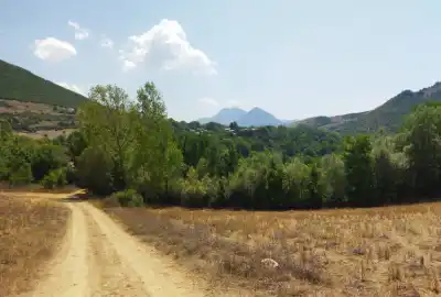فروش زمین مناسب برای دام داری و مرغداری ۲۸۰۰ متر