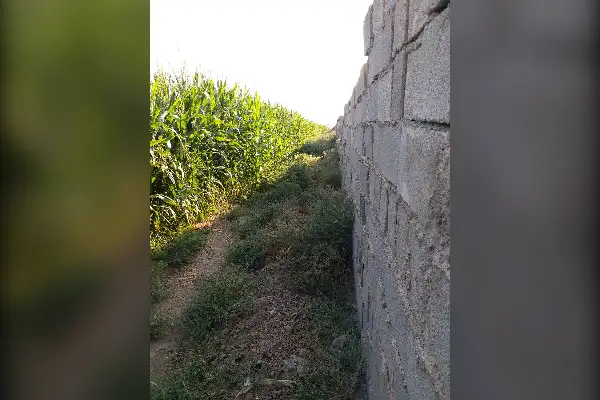 ده هزار متر زمین کشاورزی روستای حسین آباد قاجار در ورامین - تصویر 2