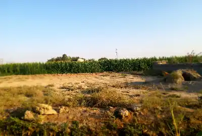 ده هزار متر زمین کشاورزی روستای حسین آباد قاجار در ورامین