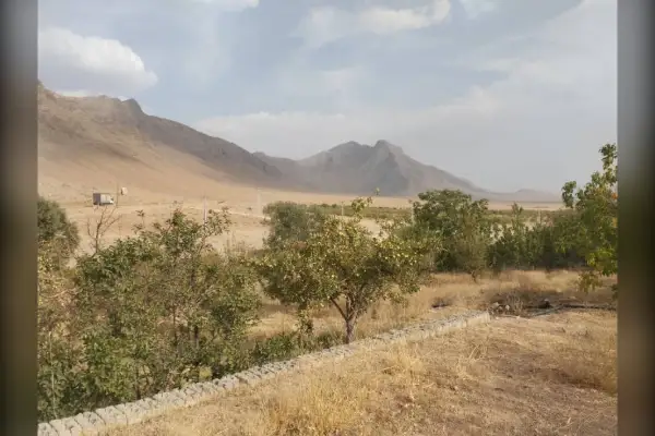 فروش باغ ۸۰۰۰ متر ۱۵ کیلومتری بروجن - تصویر 4