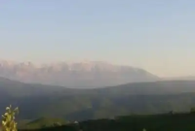 فروش زمین کشاورزی در ارتفاعات ساری بخش دودانگه ۸۰۰۰ متر