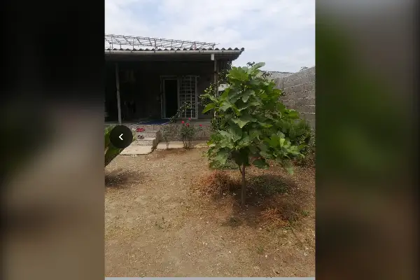 فروش زمین ۴۹۴ متر تنکابن ولی اباد روستای میرشمس الدین - تصویر 2