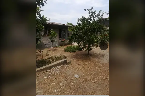 فروش زمین ۴۹۴ متر تنکابن ولی اباد روستای میرشمس الدین - تصویر 3