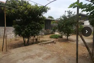 فروش زمین ۴۹۴ متر تنکابن ولی اباد روستای میرشمس الدین