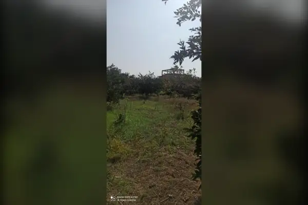 فروش زمین ۴۰۰متری باغی - تصویر 2