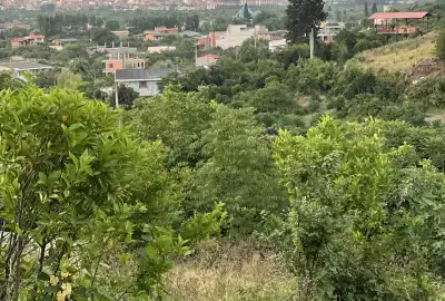 فروش زمين١٠١٢ متري نردیک بافت