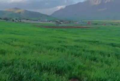 فروش زمین ۵۰۰ متر شازند روستای ضیا آباد بالاتر از نورآباد