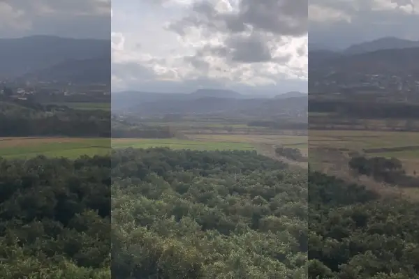 فروش زمین ۴۸۰متری مازندران شهر مرزیکلا - تصویر 2