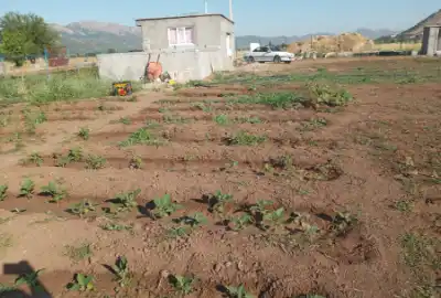 باغ فروشی موقعیت عالی ۱۷۵۰ متر مریوان روستای ریخلان