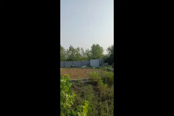 فروش یک قطعه زمین ۴۳۰ متری قائم شهر روستای چمازکتی - تصویر 2