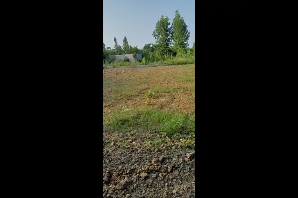 فروش یک قطعه زمین ۴۳۰ متری قائم شهر روستای چمازکتی - تصویر 3