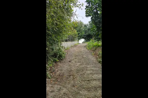 باغچه ۷۵۰ متری دوبر در قائمشهر روستای چپی ویوی دریاچه و جنگل - تصویر 3