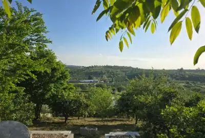 باغچه ۷۵۰ متری دوبر در قائمشهر روستای چپی ویوی دریاچه و جنگل