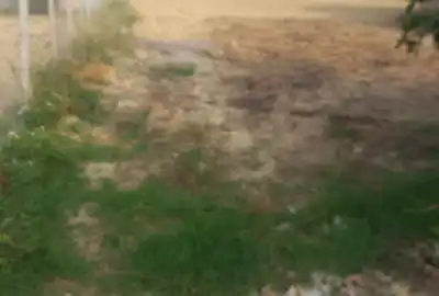 فروش زمین ۲۶۸ متر روستای تیرتاش