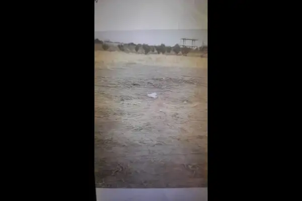 فروش زمین ۴۰۰ متری در هفتسنکان - تصویر 2