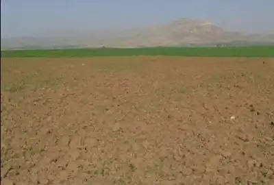 زمین کشاورزی در زرندیه