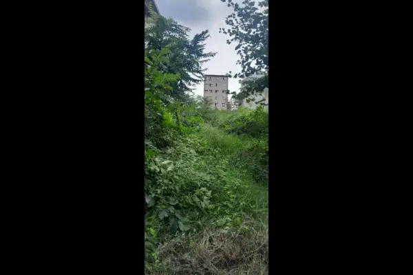 زمین ۵۸۴متری داخل شهر رضوانشهر - تصویر 4