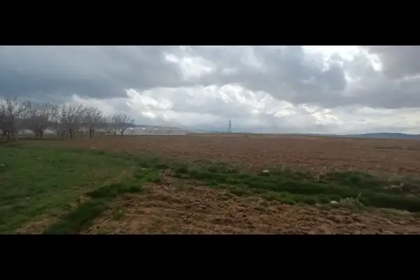 زمین کشاورزی ۲۰۰۰ متر تویسرکان روستای شاهزید - تصویر 2