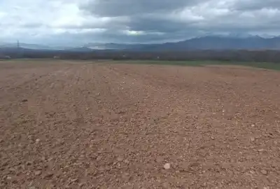 زمین کشاورزی ۲۰۰۰ متر تویسرکان روستای شاهزید