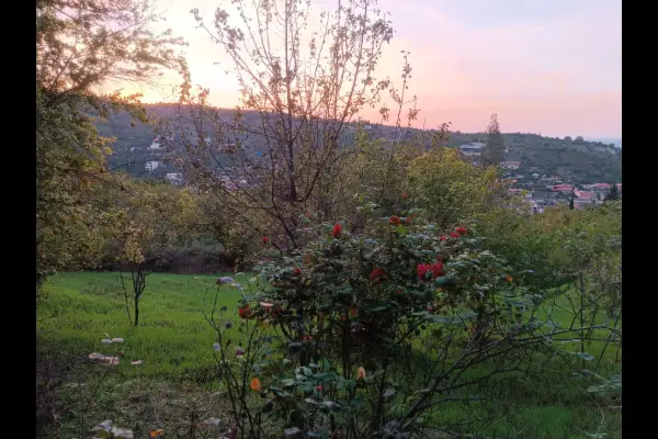 فروش باغ در مازندران ۱۰۱۶ متر بهشهر روستای کوهستان - تصویر 2