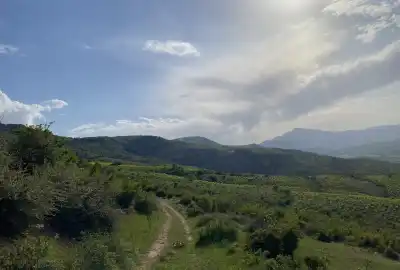فروش باغ انگور ۴۵۰۰متری روستای آزادگان