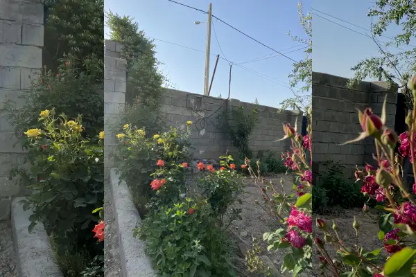 فروش زمین ویلایی ۱۰۰۰متری اول جاده حیدر آباد - تصویر 3