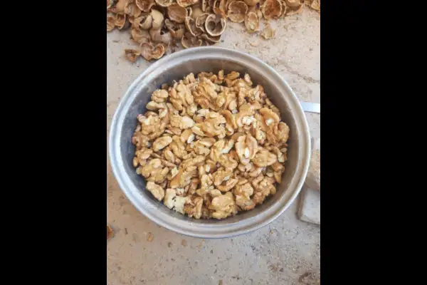 فروش باغ گردو بادام و انگور ۱۲۰۰ متر بخش خرقان رازقان روستای دوزج - تصویر 4
