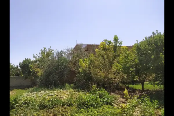 فروش زمین مسکونی دهپیاز ۱۰۰۰ متر - تصویر 2