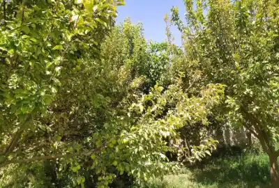 فروش زمین مسکونی دهپیاز ۱۰۰۰ متر