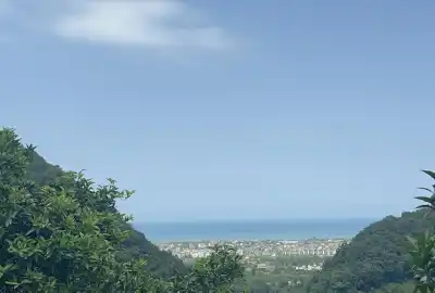 فروش زمین رامسر لرسانور ۳۵۰ متر