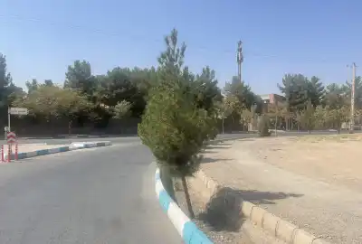 فروش زمین دونبش ۸۱ متر ۲قطعه تالب بلوار سجادیه وبلوارحکیم