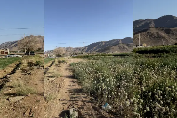 فروش زمین ۷هزار متری ۵۰۰متر عقب تر از ایرانخودرو - تصویر 2