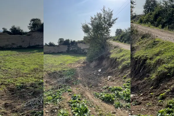 فروش زمین کشاورزی ۵۰۰۰ متری جاده نکا بهشهر - تصویر 2