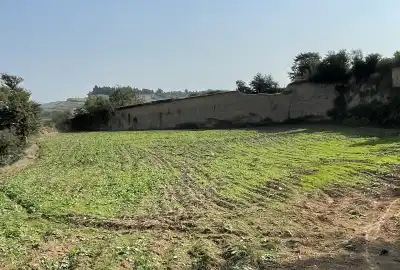 فروش زمین کشاورزی ۵۰۰۰ متری جاده نکا بهشهر