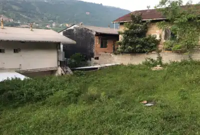 فروش زمین به متراژ ۲۲۵ متر مازندران زیراب