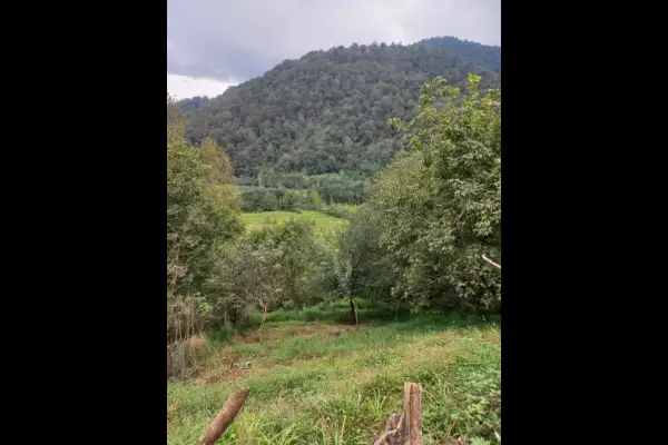 زمین فروشی ۴۰۰ متر سوادکوه شمالی لفور روستای رئیس کلا - تصویر 2