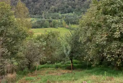 زمین فروشی ۴۰۰ متر سوادکوه شمالی لفور روستای رئیس کلا
