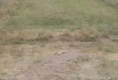 فروش زمین ۲۰۰۰ متری در روستای بدولی آوجیق